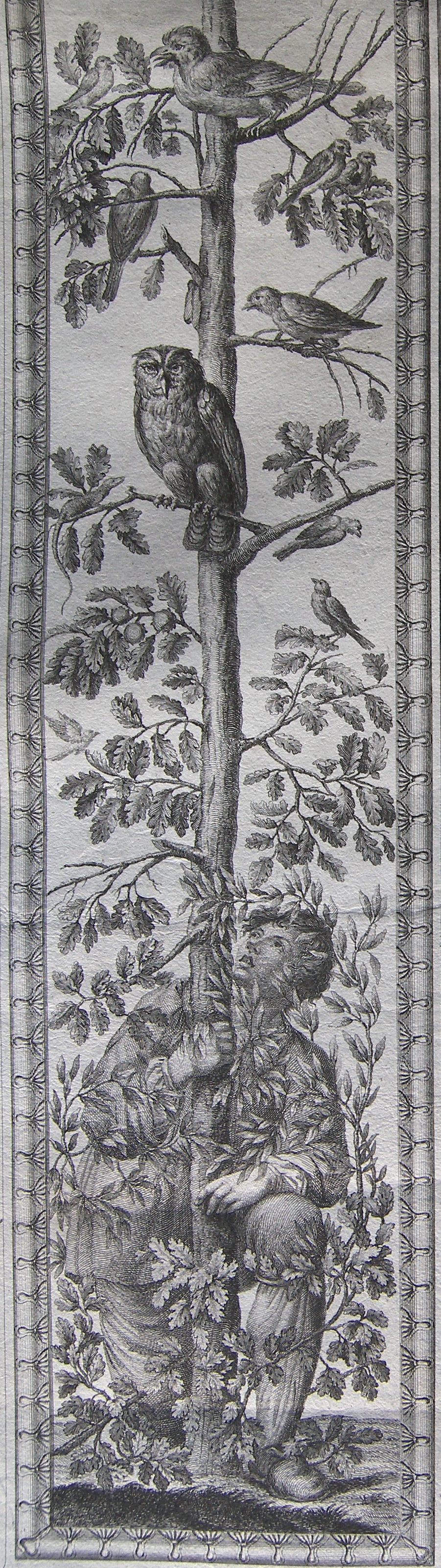 Estampe représentant un oiseleur au pied d'un arbre sur lequel sont perchés plusieurs oiseaux