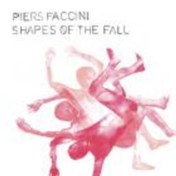 Shapes of the fall / Piers Faccini | Faccini, Piers (1970-....). Paroles. Composition. Chant. Guitare. Piano. Percussion - non spécifié